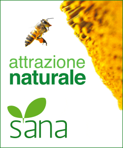 BannerSana_2014_(250x300)