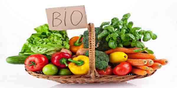 Vegetables Bio Arrangement
