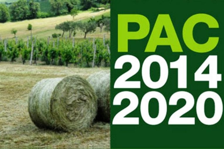 nuova pac 2017