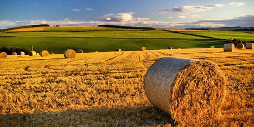 agricoltura sociale