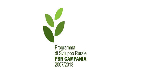 psr_campania