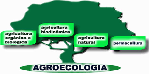 Agroecologia