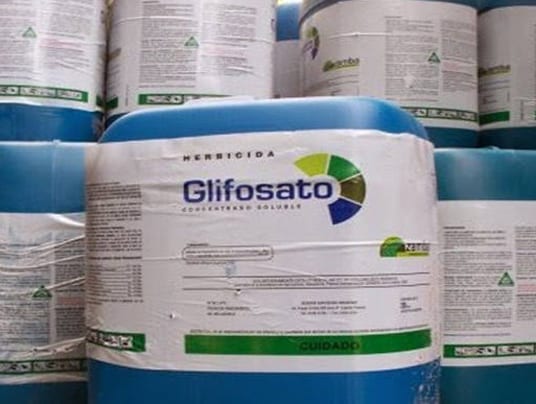 glifosato