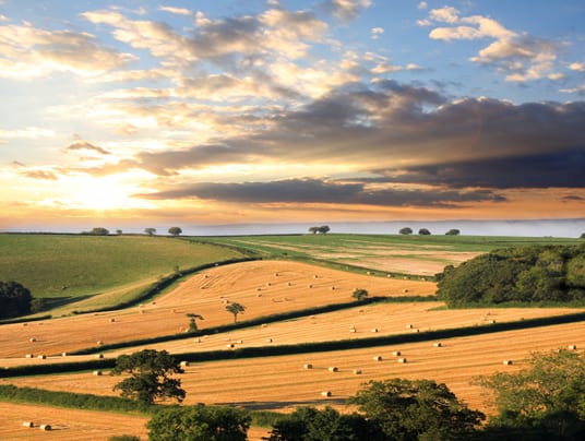 Landscape with straw bales against sunset