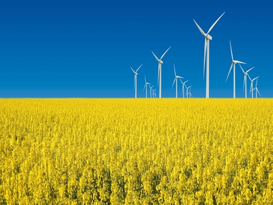 turbine eoliche in prato giallo fiorito