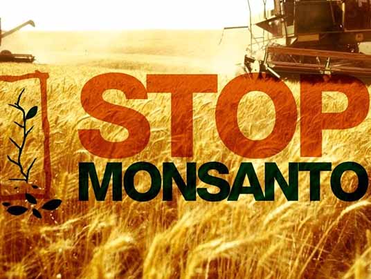 monsanto tribunale