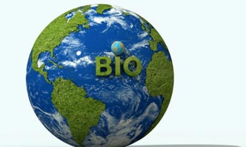 Il bio ha un ruolo chiave per la sostenibilità alimentare globale: lo studio