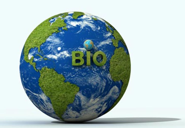Il bio ha un ruolo chiave per la sostenibilità alimentare globale: lo studio