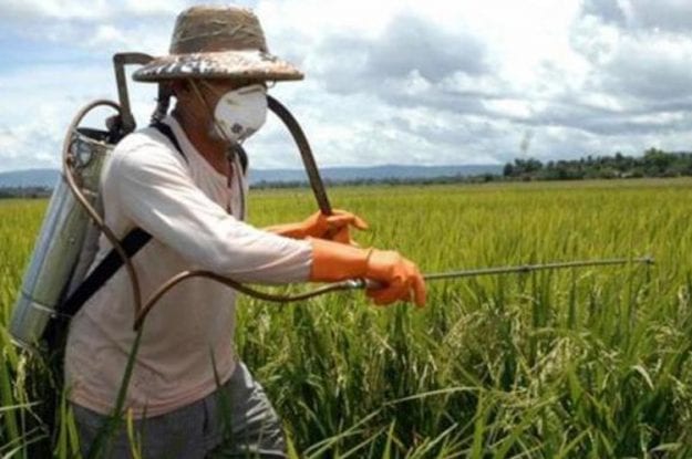 Agricoltura sostenibile e biodistretti: appuntamento a Padova