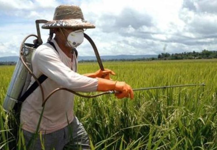 Agricoltura sostenibile e biodistretti: appuntamento a Padova