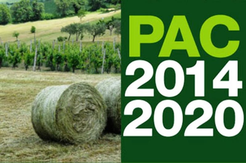 nuova pac 2017