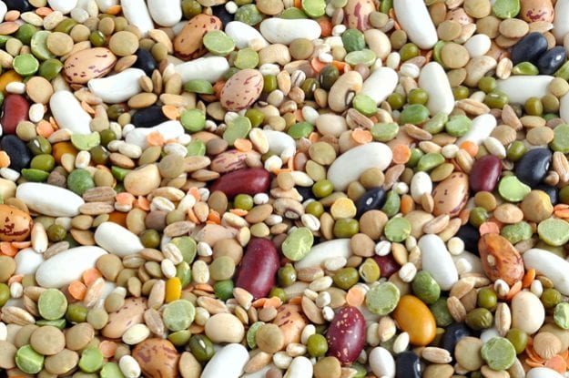 Workshop gratuito sui seminativi biologici