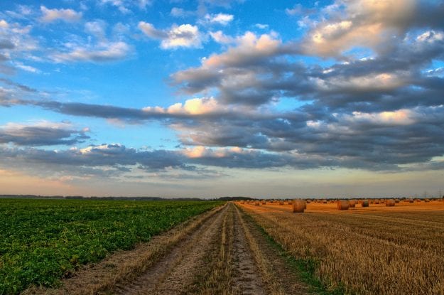 PAC, GLI STATI MEMBRI DEVONO PRESENTARE SOLUZIONI CONCRETE PER DEFINIRE UNA RIFORMA AMBIZIOSA