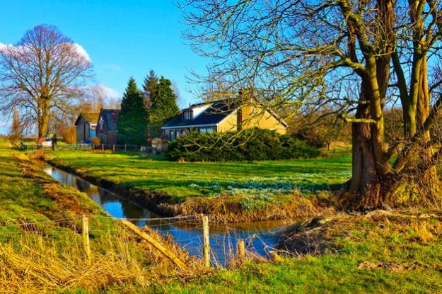 L’agricoltura bio riduce i cosumi di acqua e non inquina