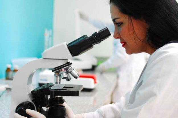 Anche la ricerca punta sul bio
