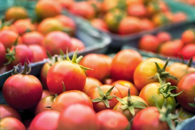 Nell’agricoltura sociale vince il biologico. La Rete rurale presenta il rapporto sull’agricoltura sociale in Italia.