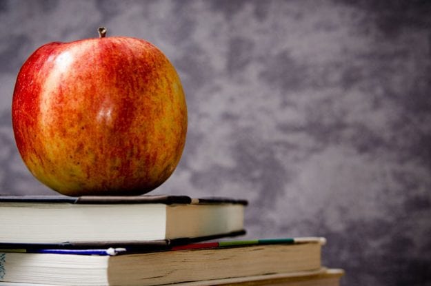 Certificazioni di qualità per le mense scolastiche biologiche