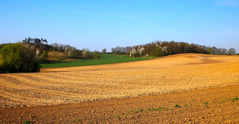 XXXV Convegno Internazionale dell’Associazione per l’Agricoltura Biodinamica