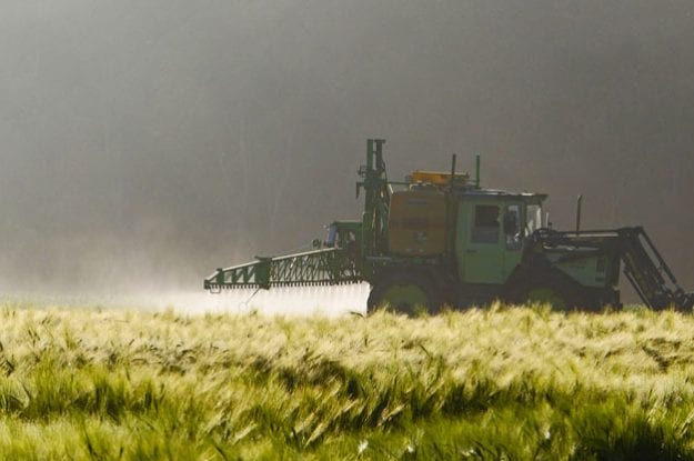 L’Efsa rassicura sul glifosato, l’Istituto Ramazzini presenta dati sulla sua pericolosità