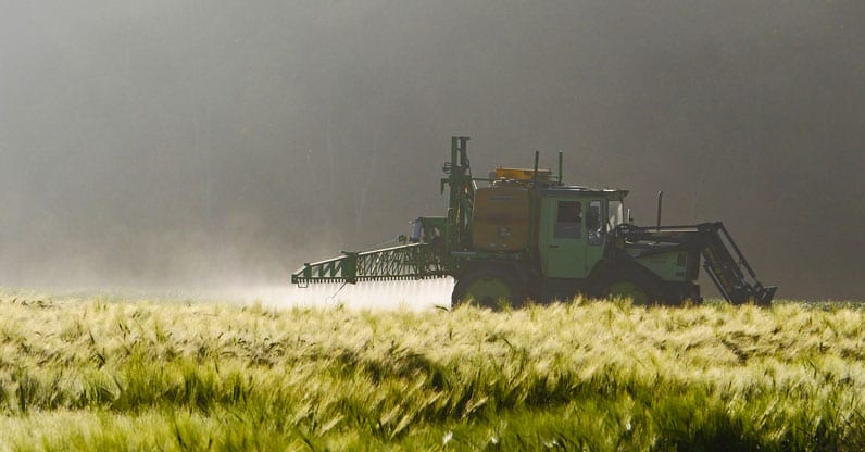 L’Efsa rassicura sul glifosato, l’Istituto Ramazzini presenta dati sulla sua pericolosità