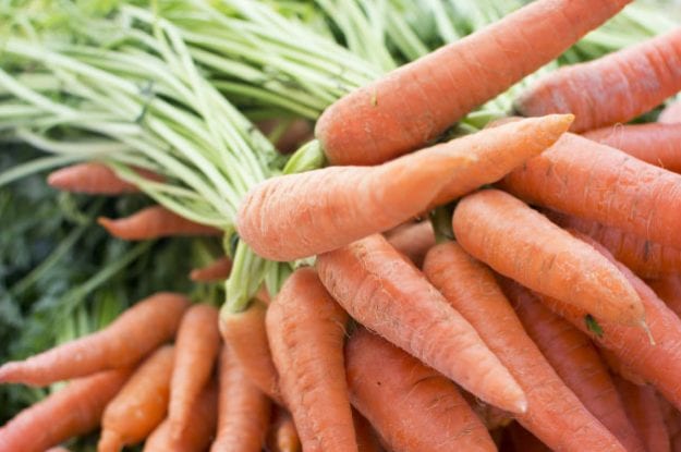 Simposio internazionale di agricoltura biologica: una prospettiva di ricerca (Organist)