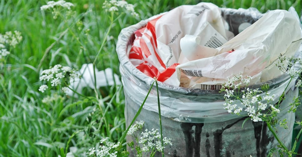 Sikkim: Oltre la rivoluzione del Bio anche la guerra alla plastica