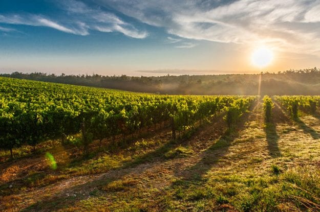 Italia, Francia e Germania sulla TOP3 della  Food Sustainability Index
