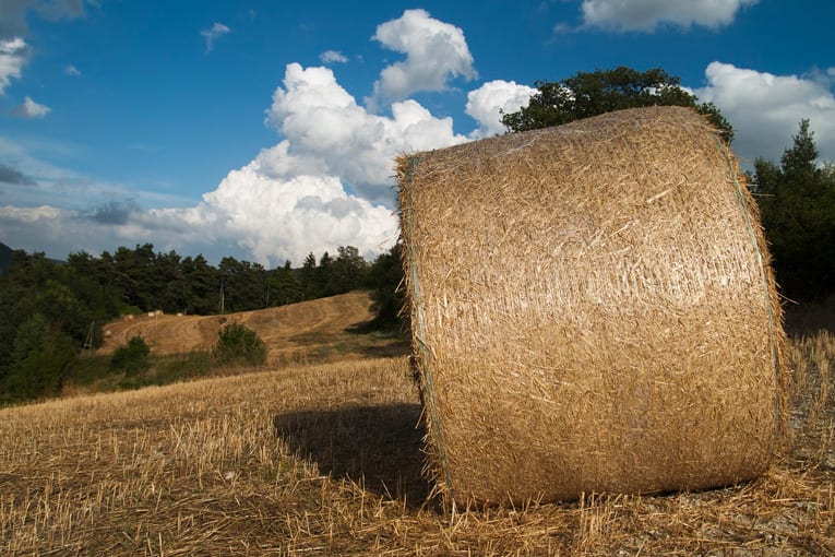 Dati Sinab per le Marche, svolta biologica per le aziende anconetane: +18% negli ultimi due anni