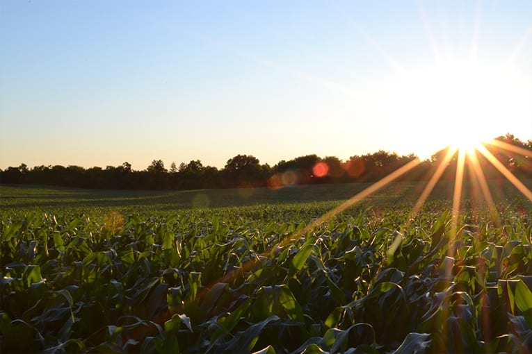 Rapporto GreenItaly 2018: l’agricoltura italiana è la più green d’Europa