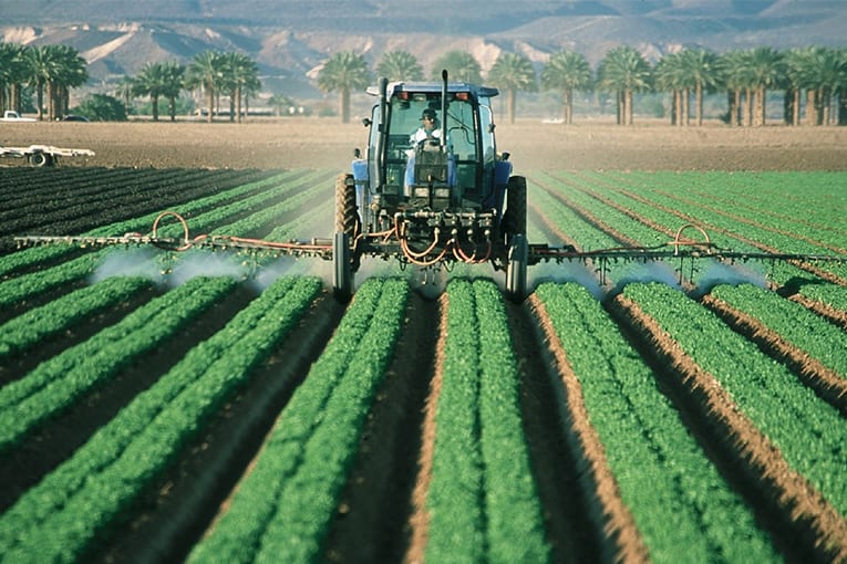 L’autorizzazione del pesticida Clorpirifos non è idonea