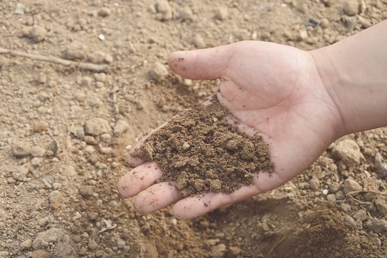 Il Suolo è una risorsa vitale per la biodiversità e l’agricoltura