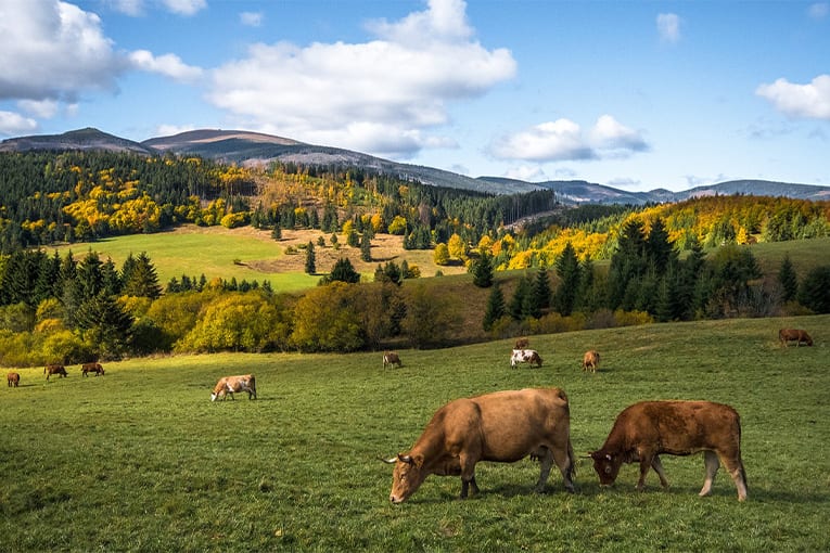 Bologna, 14 gennaio 2019: “Studio di fattibilità per un biodistretto dell’Appennino Bolognese”