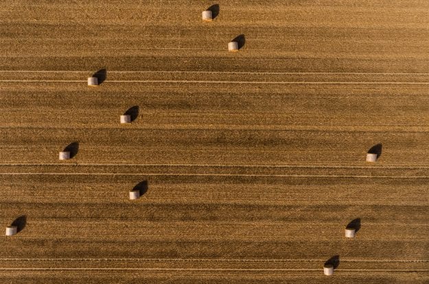 “Confronto tra tecniche e opportunità” sull’agricoltura biologica