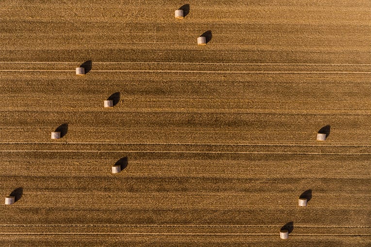 “Confronto tra tecniche e opportunità” sull’agricoltura biologica