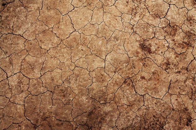 Agricoltura biologica: il freno della crisi climatica