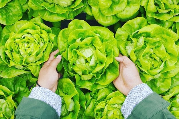 La Mammuccini interviene in merito al pdl bio