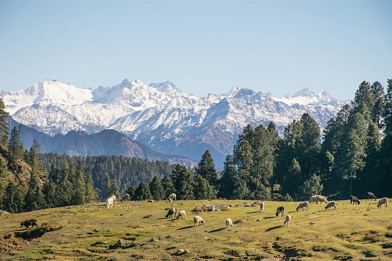 “La tutela della biodiversità nei siti Natura 2000 e nelle aree naturali protette. Opportunità e sfide per lo sviluppo rurale”