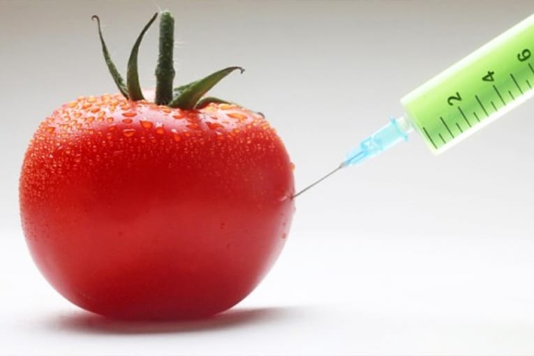Il biologico è incompatibile con gli OGM