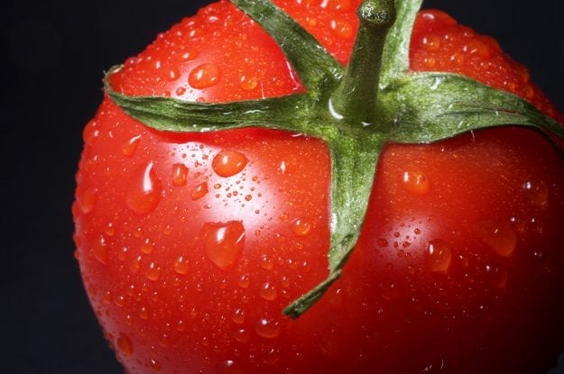 Parlamento Ue: non si concedano brevetti su prodotti ottenuti da incroci naturali