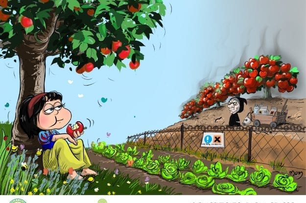 PRIMO CLASSIFICATO CONTEST SUOLO E SALUTE: PAOLA GRASSO CON “AGRICOLTURA  BIO, LOGICO!!!”