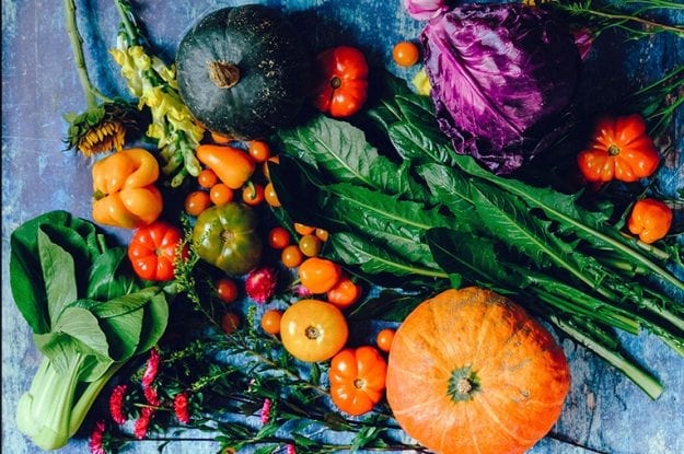 “Bio in cifre 2019”: il biologico cresce
