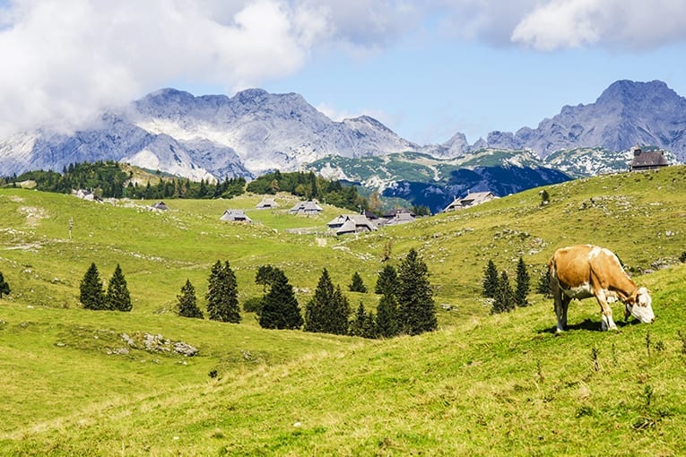 Molise: l’importanza dei Distretti Rurali e Bio Distretti