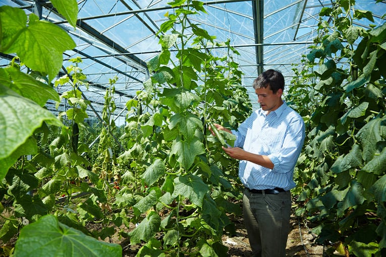 L’Italia è prima in Europa per numero di giovani che hanno scelto l’agricoltura