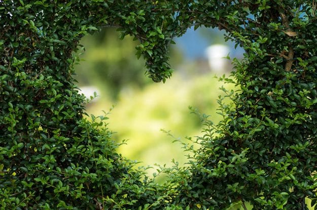 La strategia del Green new deal europeo? Il biologico.