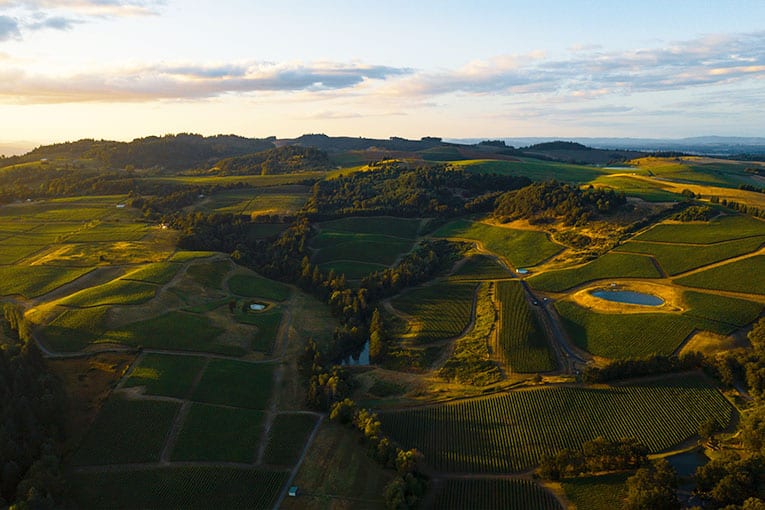 L’Emilia-Romagna si muove a favore del biologico e della protezione dell’ambiente