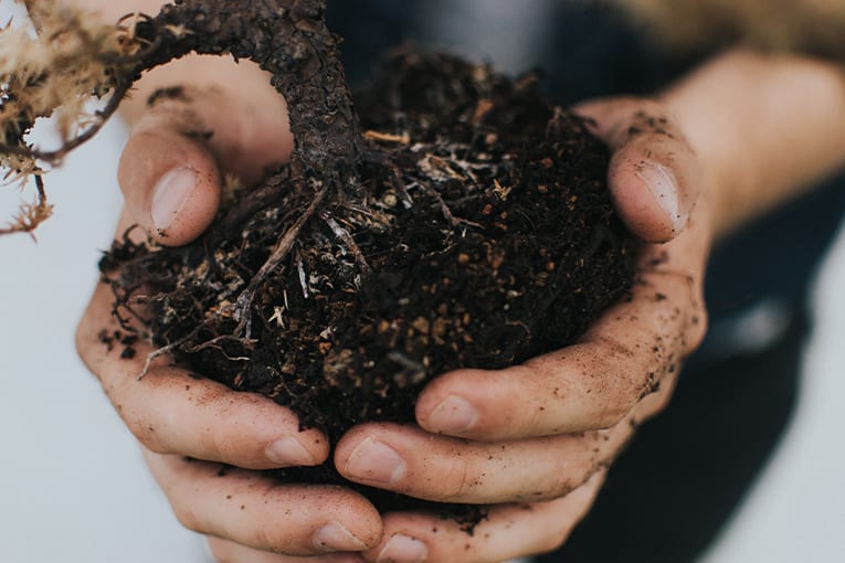 Plauso di Suolo e Salute per la nascita della “Re Soil Foundation”