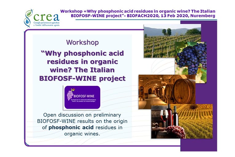 Progetto BIOFOSF-WINE: i dati presentati al Biofach 2020.