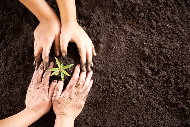 “Considera la Terra”: lezioni dal passato per una nuova modernità