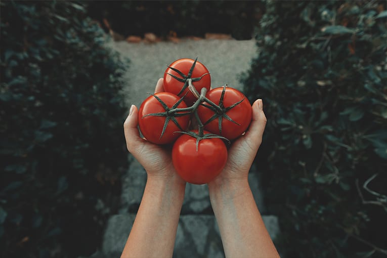 Una nuova sezione merceologica per il pomodoro bio