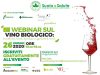Webinar sul vino biologico: tra scelta etica, tecniche di produzione e opportunità di mercato